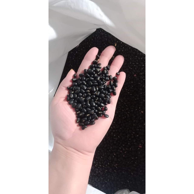 Đỗ đen hữu cơ nguyên hạt xanh lòng loại 1kg