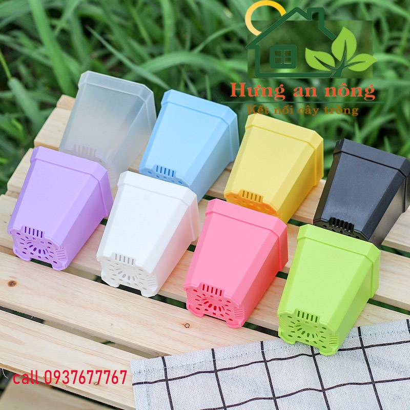 5 chậu nhựa dầy chất liệu PP xịn - trồng sen đá bonsai xương rồng có 8 màu chọn 7x7x8cm