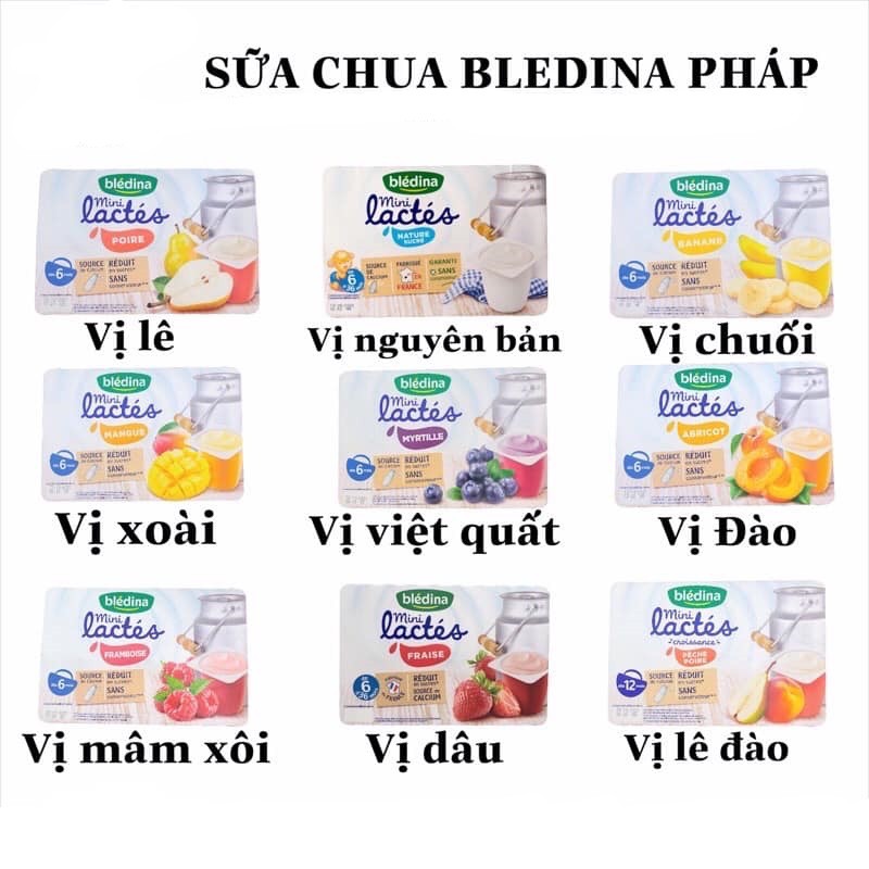 Sữa Chua Nguội Pháp Cho Bé Bledina Từ 6 Tháng Tuổi Cho Bé Ăn Dặm Thơm Ngon Bổ Sung Canxi Khoáng Chất Hỗ Trợ Tiêu Hóa