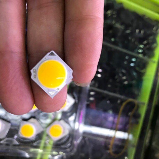 [VN] Nhân led 36v-10w COB