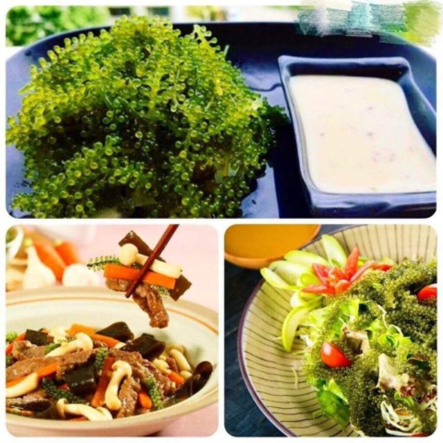 5 gói rong nho tách nước Green Food loại 100g + 2 nước chấm mè rang Kewpie 180ml | BigBuy360 - bigbuy360.vn