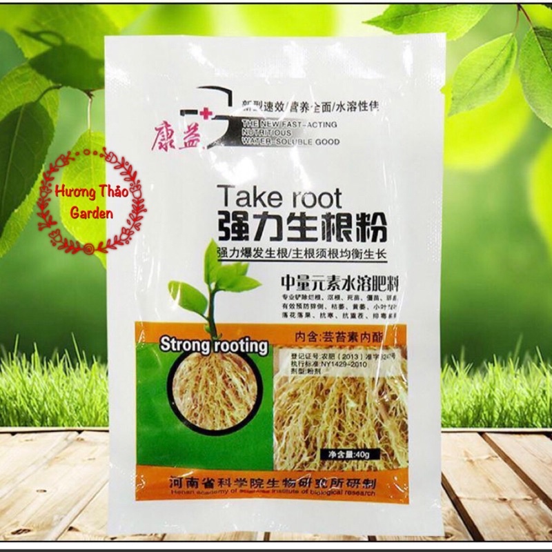 Siêu Kích Rễ Take  Root Gói 40gr