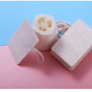 Miếng rửa chén xơ mướp