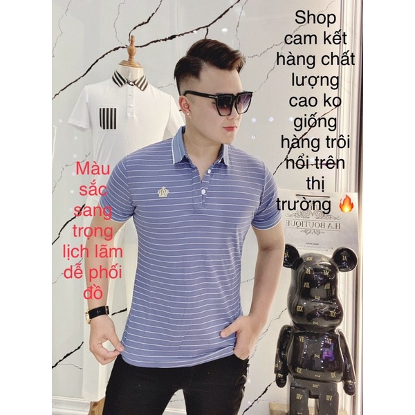 Áo Thun Nam POLO Kẻ Sọc Ngang, Chất Vải Lụa Cotton mềm Mát, Thời Trang Trẻ 2022