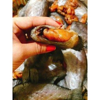 CÁ SẶC TRỨNG LOẠI I - 500G