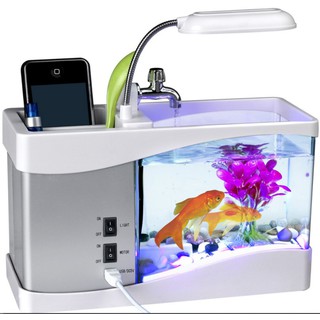 Bể Cá Mini Nhập Khẩu