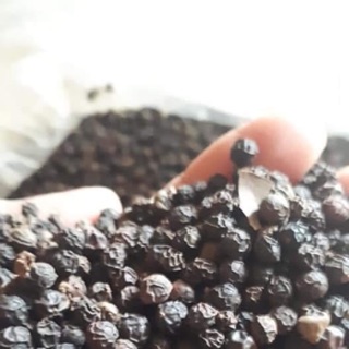 100g hạt tiêu bắc nguyên hạt