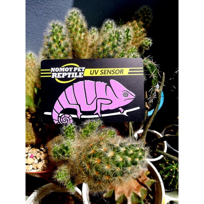 Thẻ kiểm tra tia Uv cho đèn bò sát