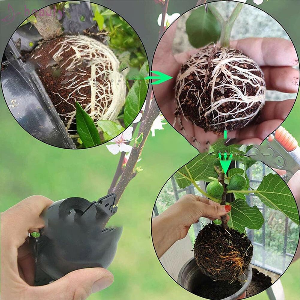 Set 3 Hộp Chăm Sóc Cây Trồng Bền Bỉ Tiện Dụng