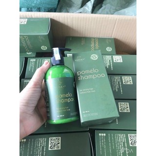 Dầu gội bưởi Shapoo Pomelo 280ml