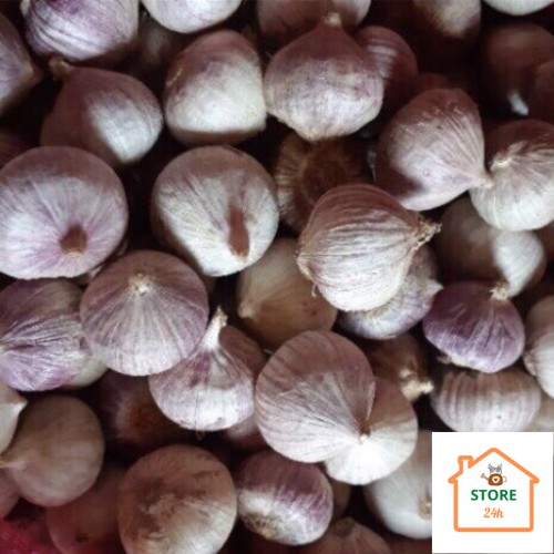 Tỏi Cô Đơn Phan Rang [1 kg]