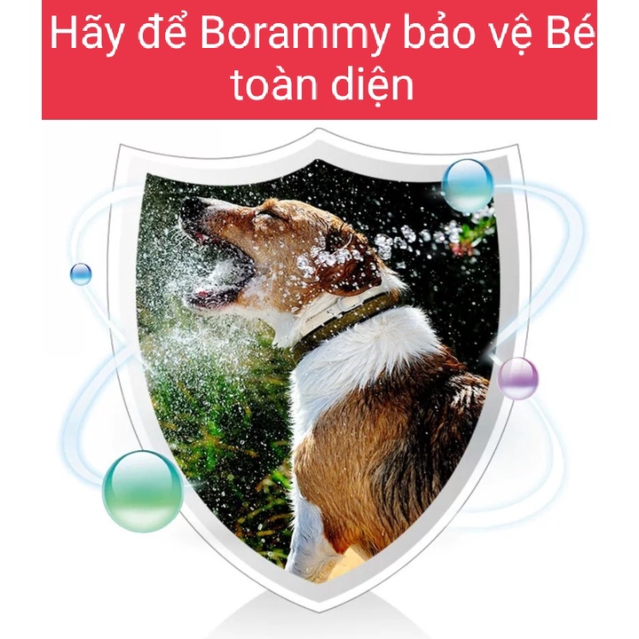 Bộ 4 hộp Vitamin tổng hợp, Canxi, Men tiêu hóa và Dưỡng Lông Chính Hãng Borammy