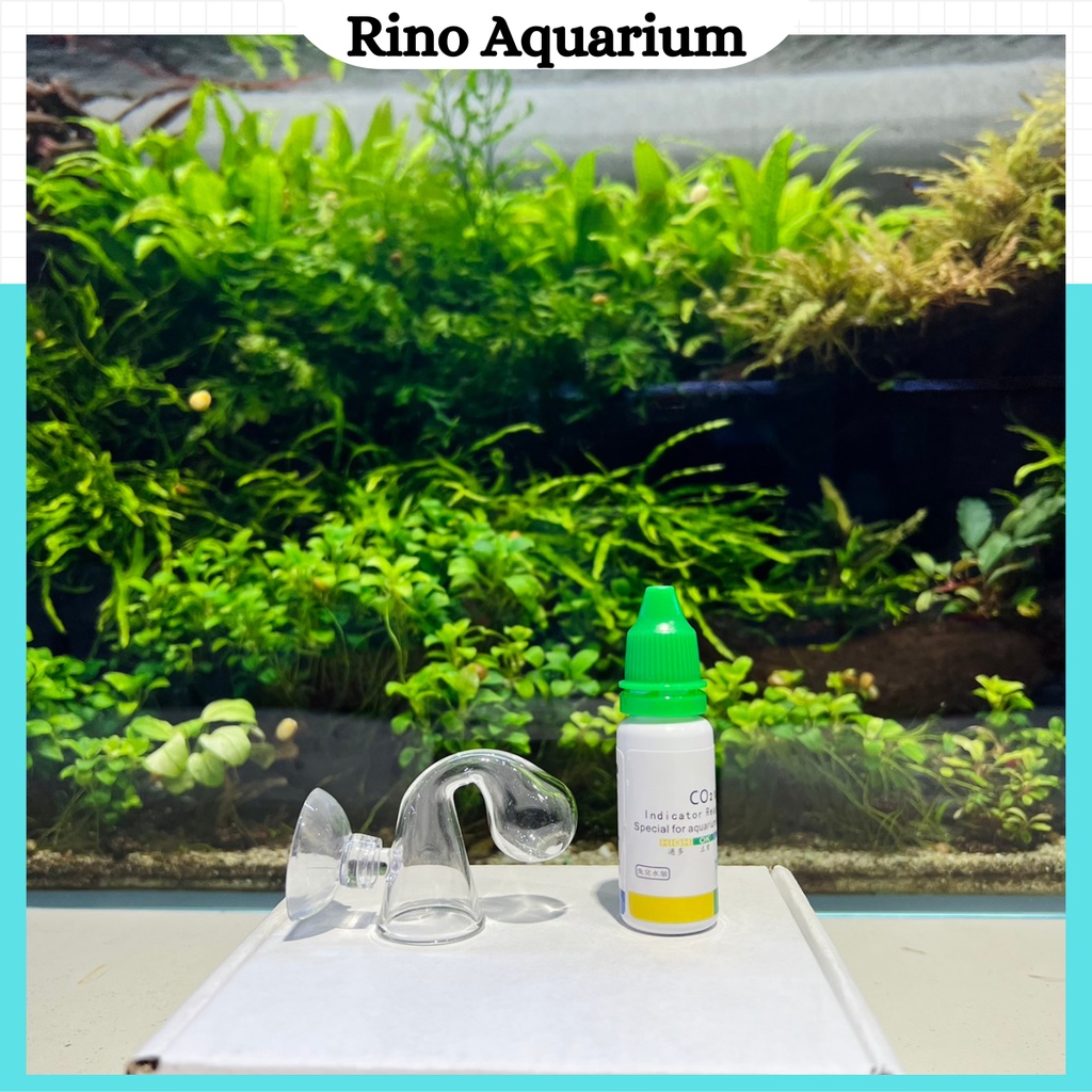 CO2 Checker | Test CO2 Thủy Tinh | Bộ Kiểm Tra Nồng Độ CO2 Trong Hồ Thủy Sinh