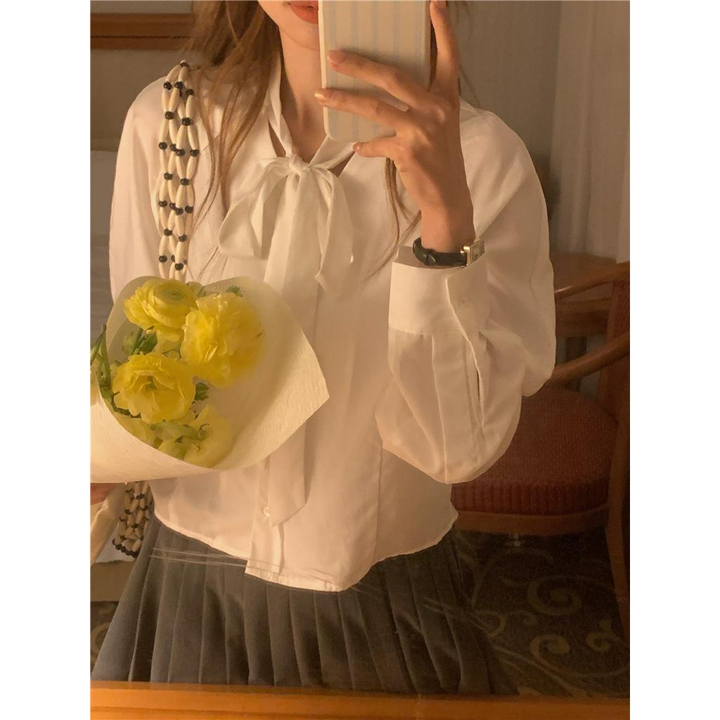 62624 Rắn Màu Sắc Lỏng Lẻo Dễ Phối Đồ