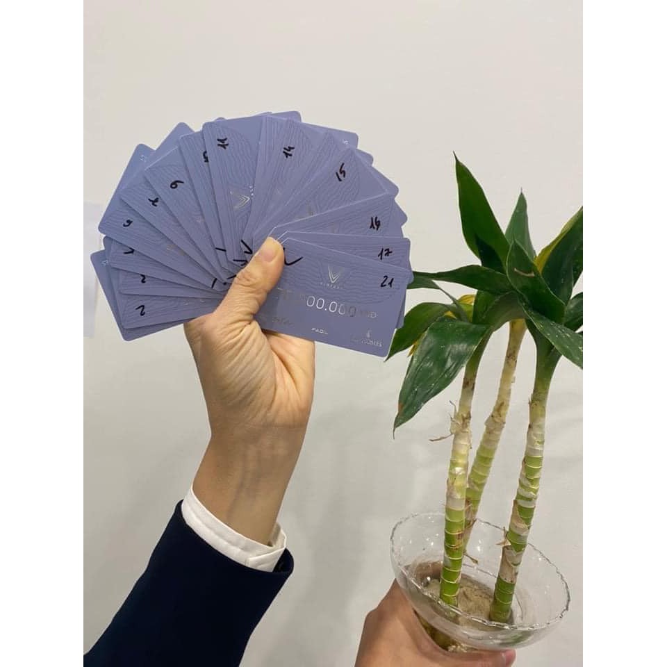 Voucher Giảm Giá Mua Xe Vinfast Lux SA2.0 , Vinfast Lux A2.0 , Vinfast Fadil