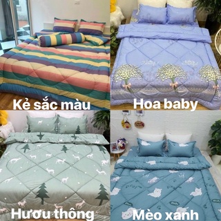 Set chăn phao ga gối poly