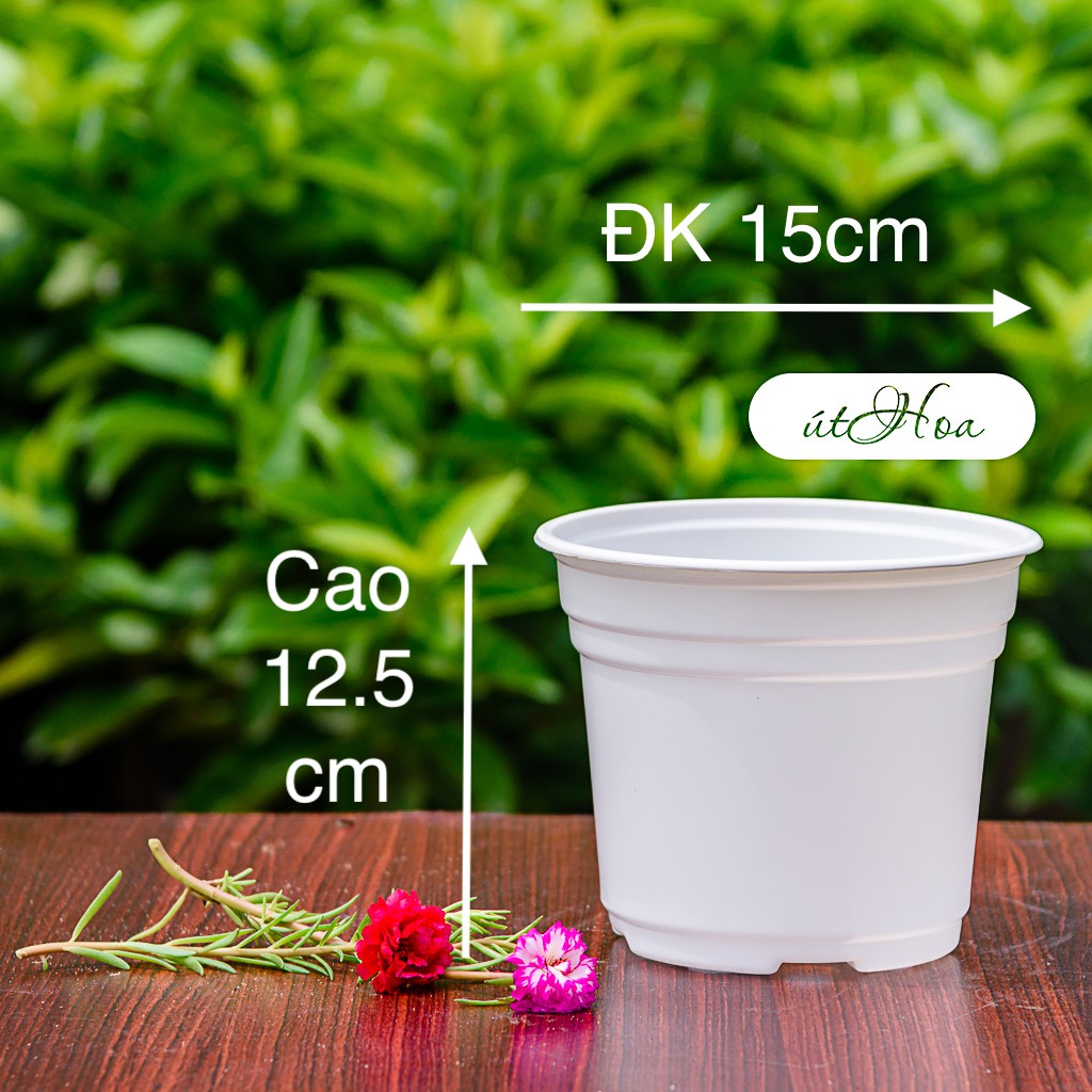 [Sỉ từ 20 cái Chậu nhựa trắng T15 (15x12.5 cm) trồng cây, trồng hoa nhựa cao cấp