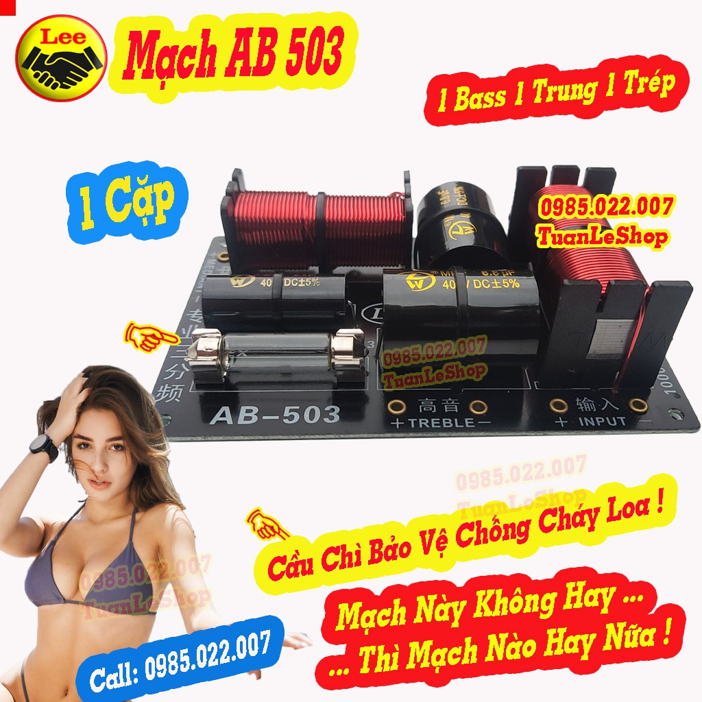 MẠCH LOA AB 503 – MACH 1 BASS 1 MID 1 TREP - GIÁ 2 CHIẾC  AB503