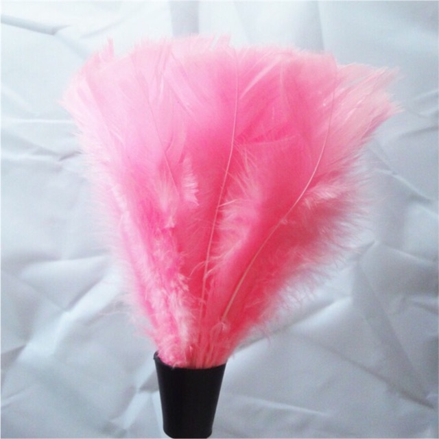 Cây lông vũ (hoá trang bộ hầu gái) (Ảnh thật) | BigBuy360 - bigbuy360.vn