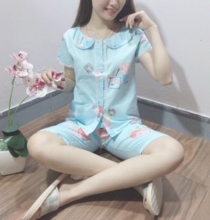 Bộ lửng mặc nhà.  Cổ sen