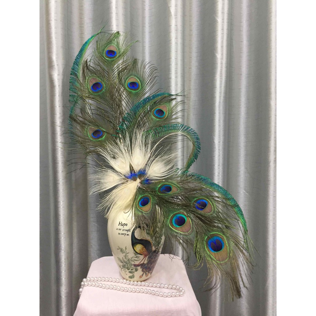 lông công trắng đẹp giá rẻ dài 70_80 cm | BigBuy360 - bigbuy360.vn