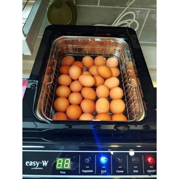 Máy Rửa Thực Phẩm Easy W Và Pathberg