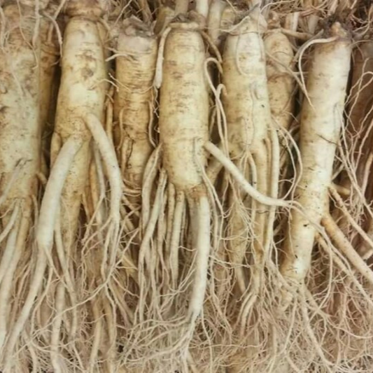 Kho Sỉ Hàng Hàn Quốc