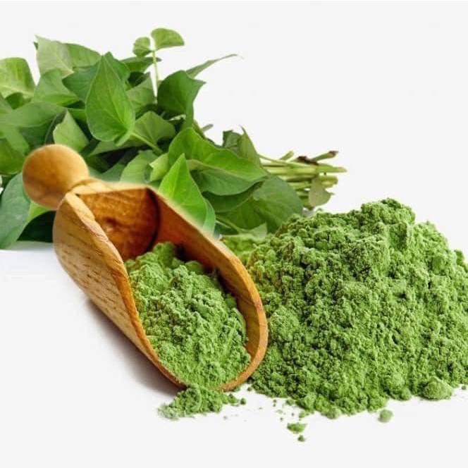 Hộp 500g Bột rau Diếp Cá nguyên chất sấy lạnh hàng mới 2022