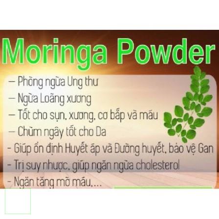 1kg bột chùm ngây hàng loại 1