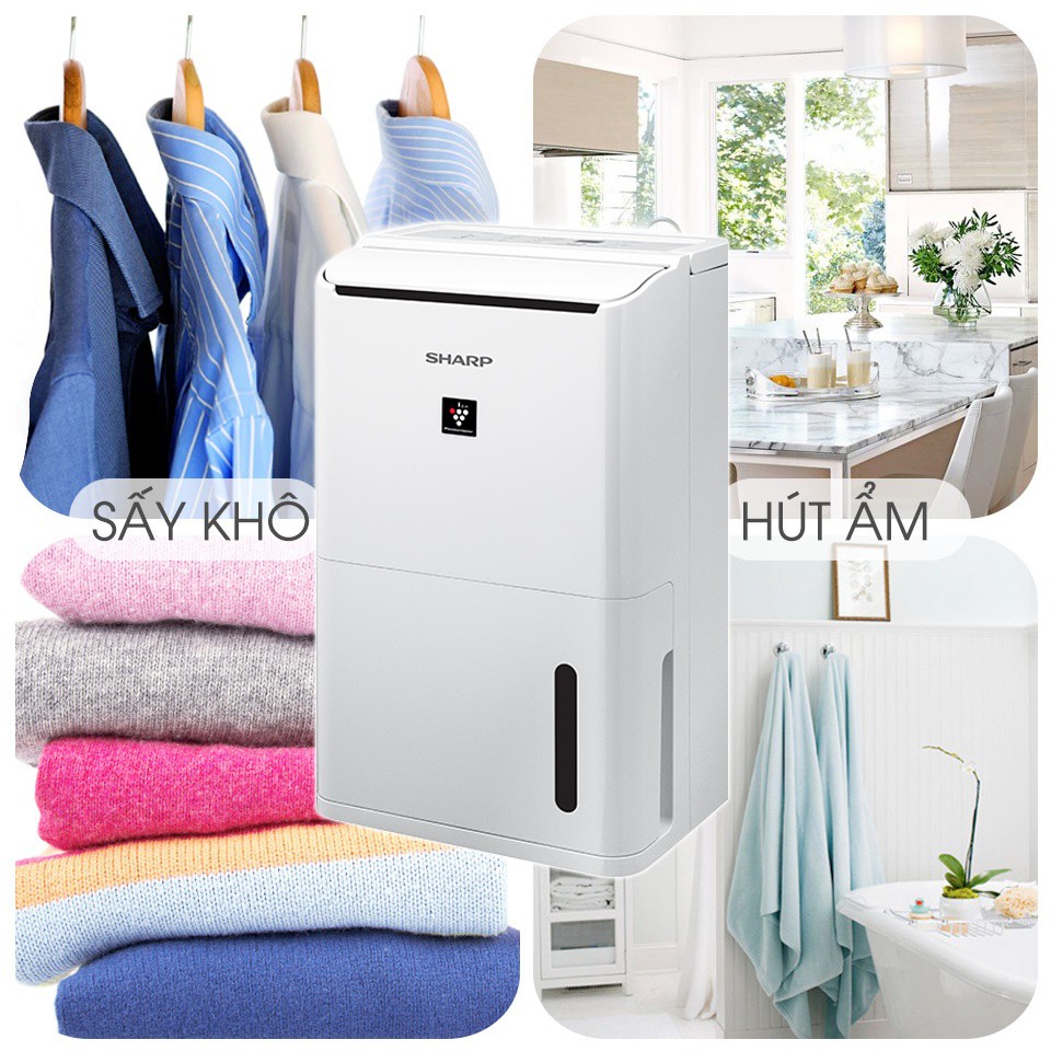 Máy hút ẩm Sharp DW-D12A