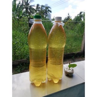 0.5 Lít MỠ TRĂN RÁN SẴN