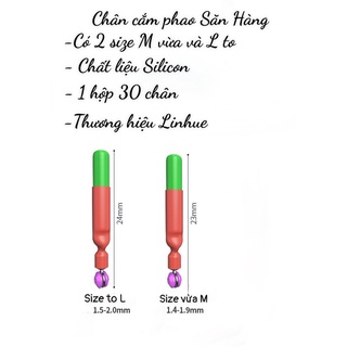 1c chân cắm phao săn hàng