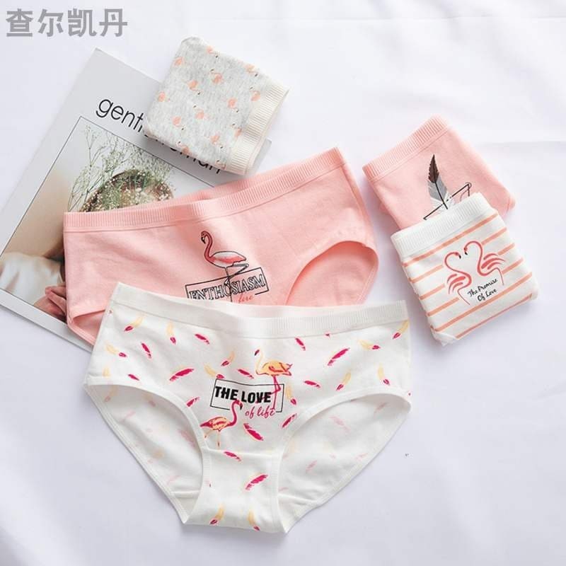 [CHE TÊN 100%] Set 5 Chiếc Quần Lót Nữ Cute Quần Chíp Hồng Hạc Chất Cotton Quảng Châu Cao Cấp Sexy Xịn Đẹp Lamodu Shop