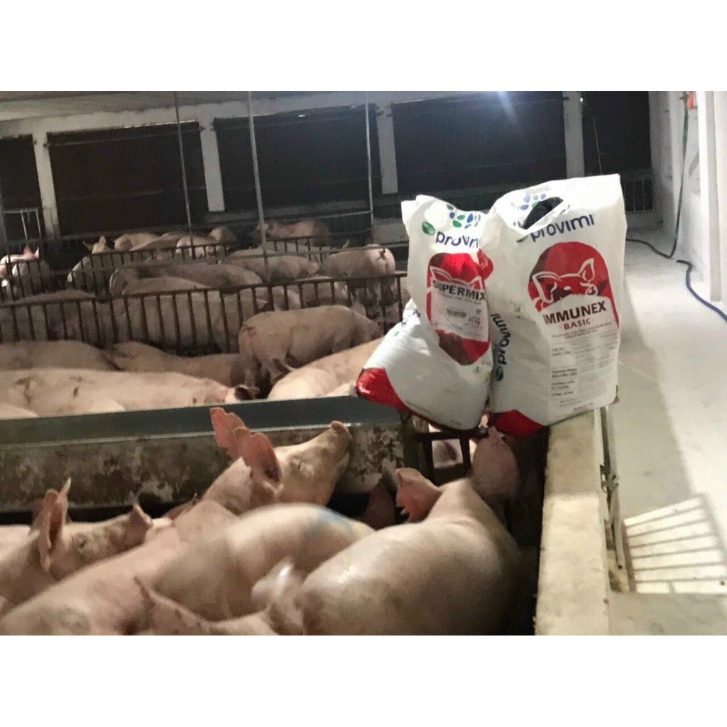 IMMUNEX BASIC - ĐỀ KHÁNG VƯỢT TRỘI  cargill provimi