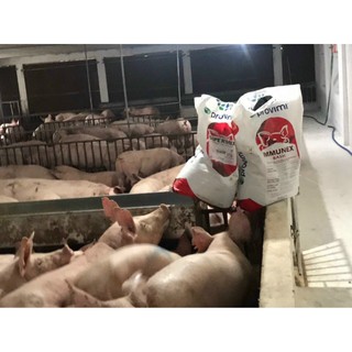 IMMUNEX BASIC - ĐỀ KHÁNG VƯỢT TRỘI  cargill provimi