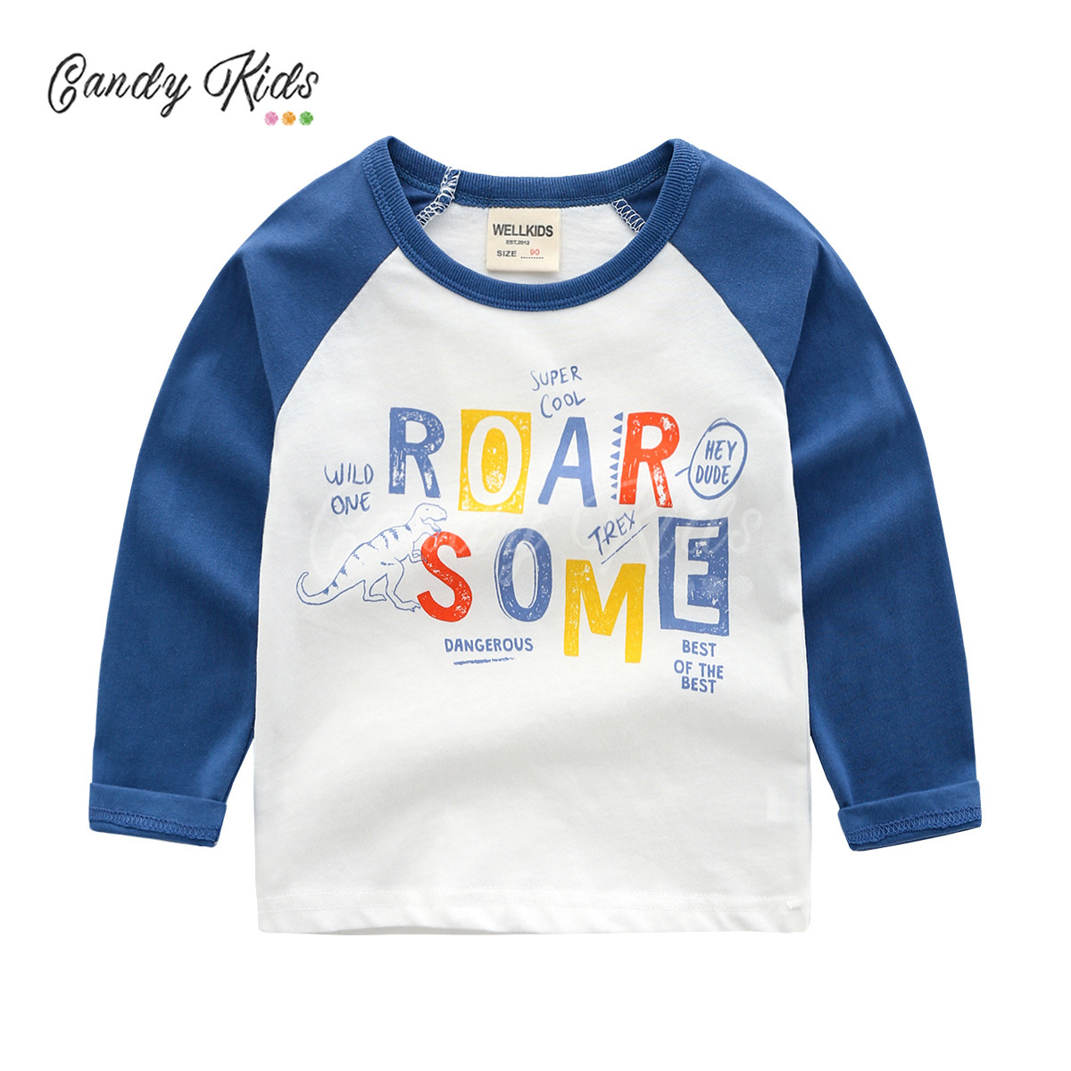 Boys' Cotton Long-Sleeved Casual round Neck Baby T-shirt Children's Fashion Shirt