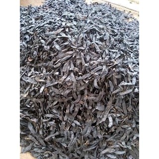 500g bồ kết ta phơi khô