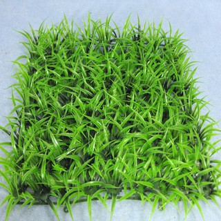Thảm cỏ nhựa 25x25