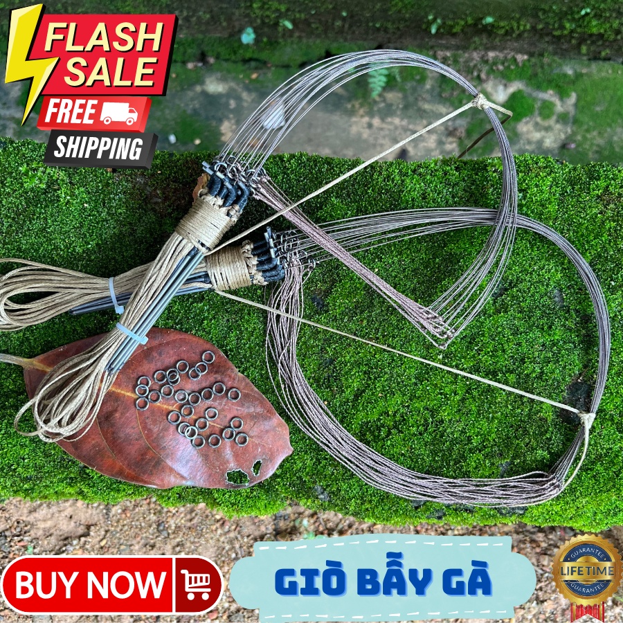 1 bộ giò đón BẪY GÀ RỪNG chân thép, gồm 20 chân thép mài nhọn, khoen thép đúc không rỉ, mua về là sử dụng.