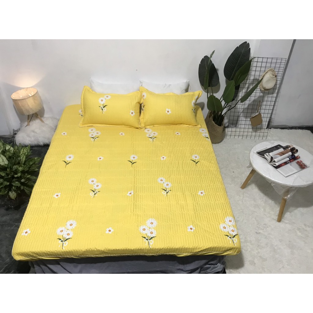 Bộ Ga Cotton Trần Caro Ghi GT03