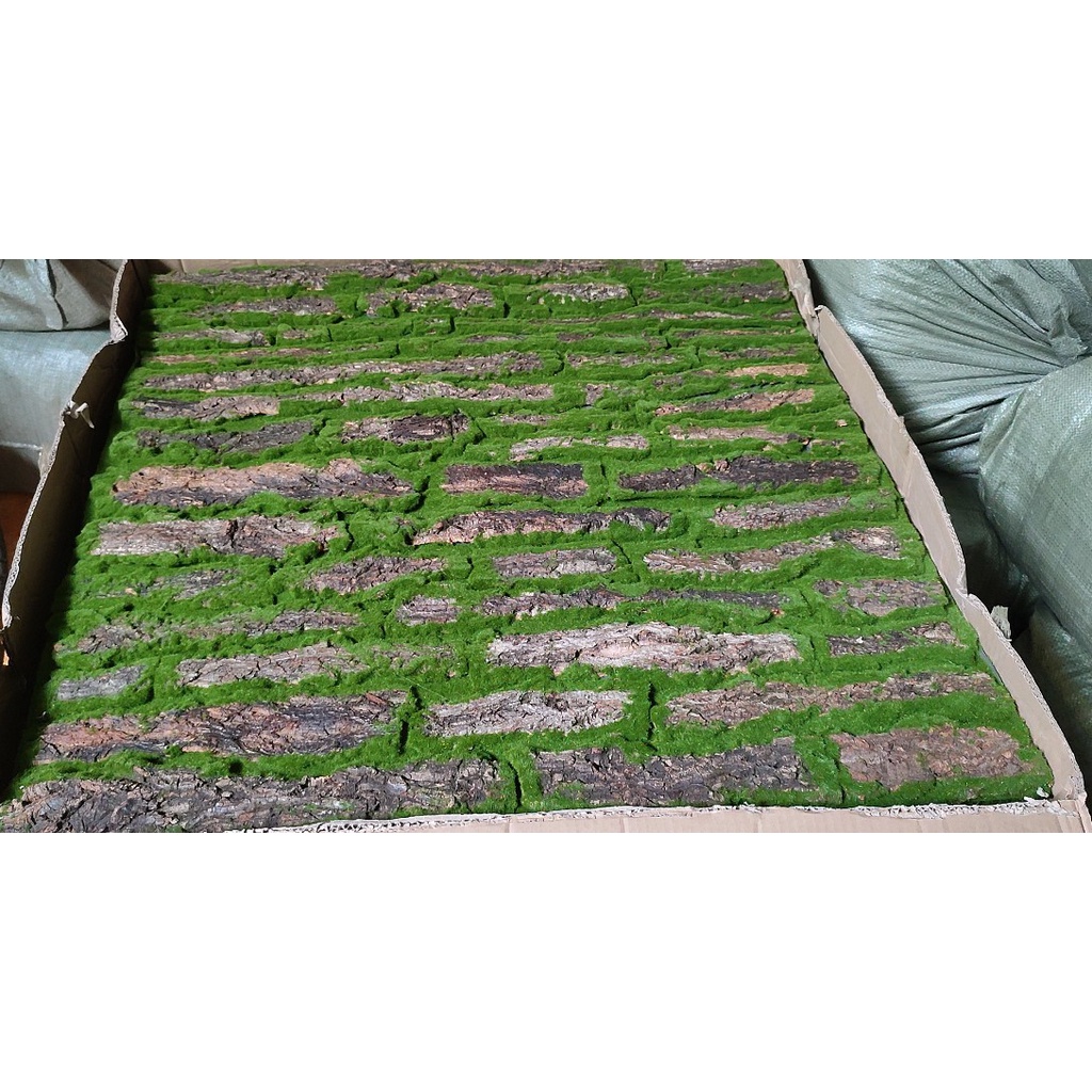 Thảm rêu xanh dán tường