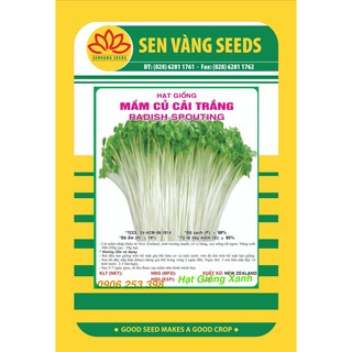 Hạt giống Rau Mầm Củ Cải Trắng gói 1Kg Giàu dinh dưỡng Dễ trồng