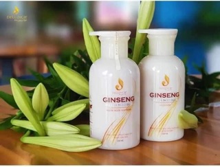 Bộ dầu Gội và Xả Nhân Sâm