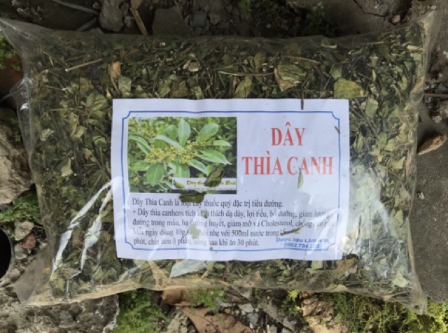 Dây thìa canh Hoà Bình - trị tiểu đường | BigBuy360 - bigbuy360.vn