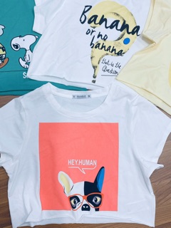 ÁO THUN LỬNG PULL BEAR
