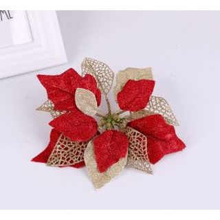 Hoa Trạng Nguyên Cao Cấp Trang Trí Noel