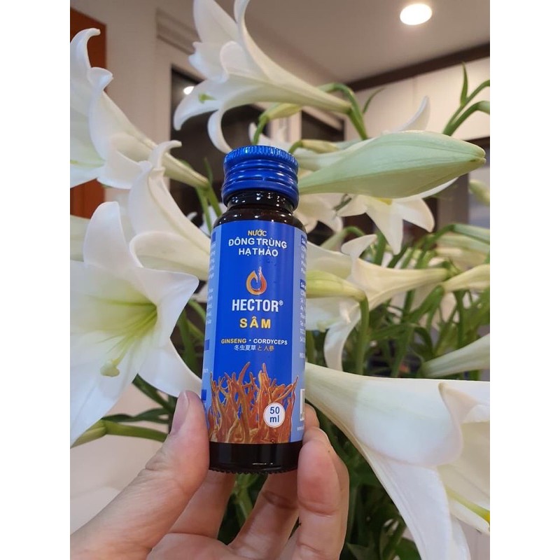 Hector sâm hộp 10 chai