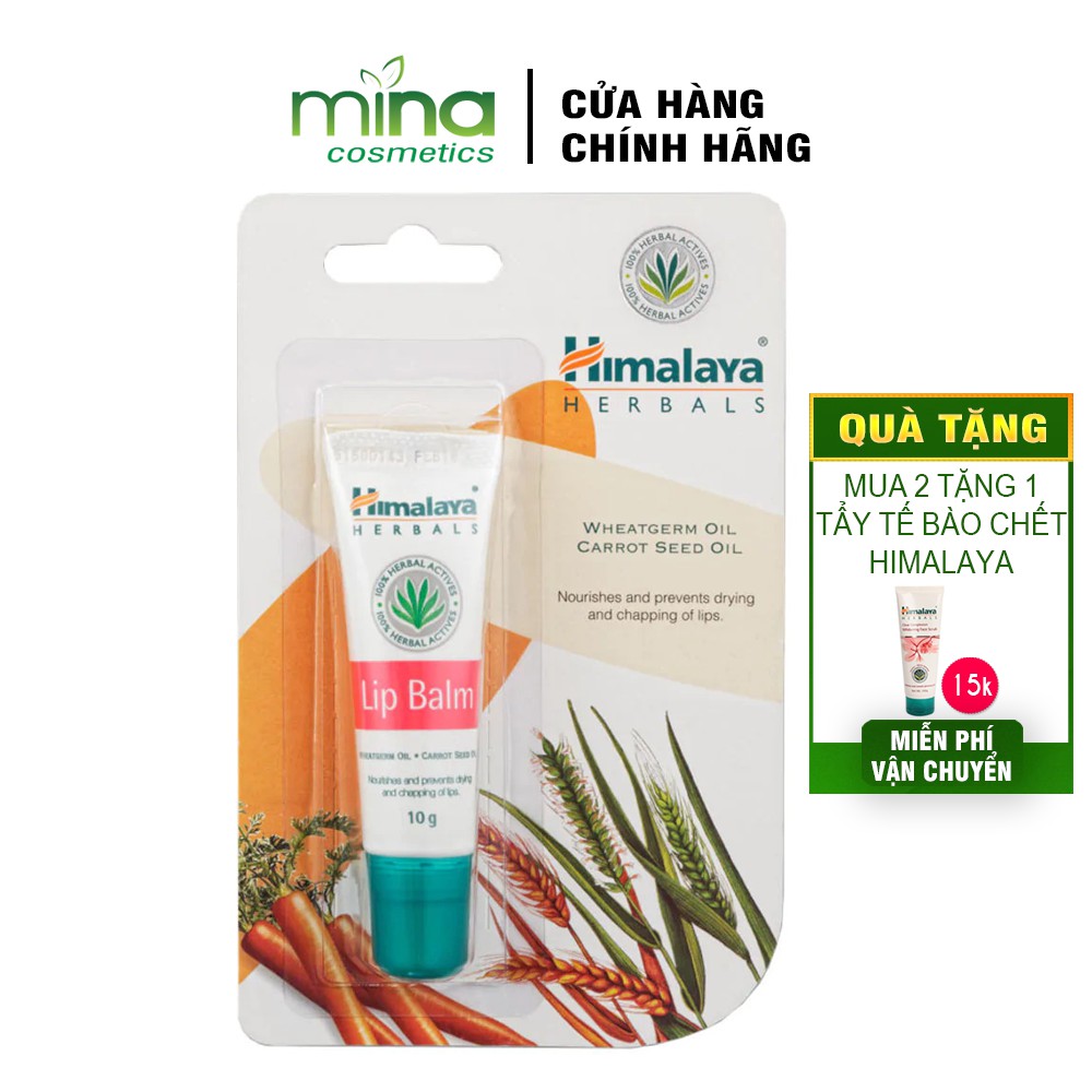 Son dưỡng hồng môi chiết xuất cà rốt Himalaya Lip Balm 10g