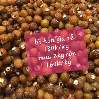 bồ hòn loại 1