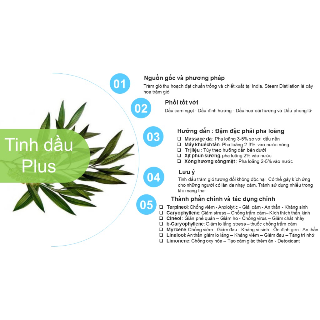 Tinh dầu tràm gió Plus 20ml - Cajeput EO nguyên chất thiên nhiên Việt Nam - Trị mụn, Sạch da